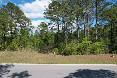 Lot 51 S St Claire Lane, Freeport, FL 32439 - Photo 28