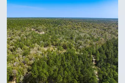 4195 Whippoorwill Drive, Holt, FL 32564 - Photo 10