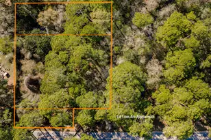 151 Don Bishop Rd, Santa Rosa Beach, FL 32459 - Photo 6