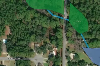 151 Don Bishop Road, Santa Rosa Beach, FL 32459 - Photo 12