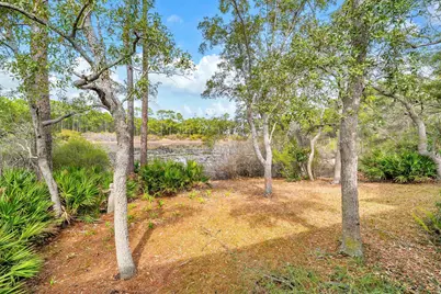 115 Satinwood & Lot 18 Gov Sd Drive, Santa Rosa Beach, FL 32459 - Photo 50