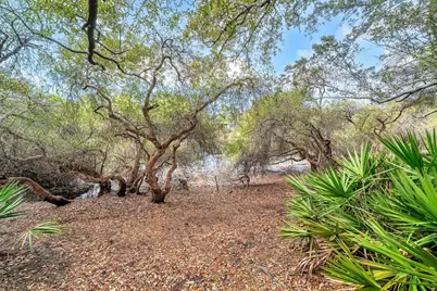 115 Satinwood & Lot 18 Gov Sd Drive, Santa Rosa Beach, FL 32459 - Photo 60
