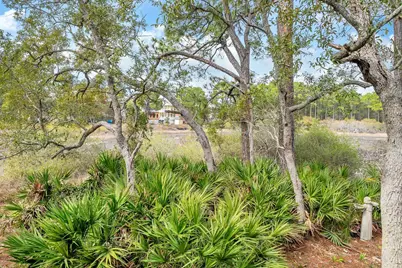 115 Satinwood & Lot 18 Gov Sd Drive, Santa Rosa Beach, FL 32459 - Photo 66