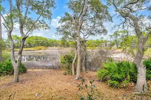 115 Satinwood & Lot 18 Gov Sd Dr, Santa Rosa Beach, FL 32459 - Photo 54