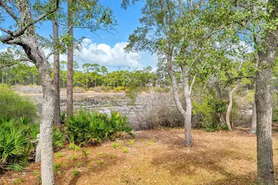 115 Satinwood & Lot 18 Gov Sd Drive, Santa Rosa Beach, FL 32459 - Photo 52