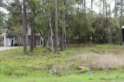 112 E Wild Blueberry Way, Santa Rosa Beach, FL 32459 - Photo 2