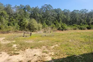 76 German Club Rd, Defuniak Springs, FL 32433 - Photo 10