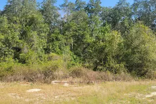 76 German Club Rd, Defuniak Springs, FL 32433 - Photo 6