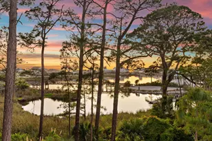 399 Allen Loop Dr, Santa Rosa Beach, FL 32459 - Photo 62
