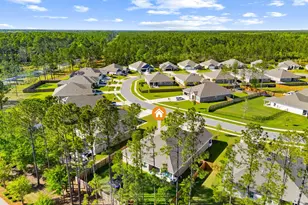 254 Polaris Pl, Freeport, FL 32439 - Photo 44
