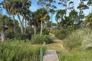 6422 Cape San Blas Rd, Cape San Blas, FL 32456 - Photo 78