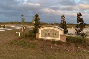 223 Alleyoak Ln, Freeport, FL 32439 - Photo 22