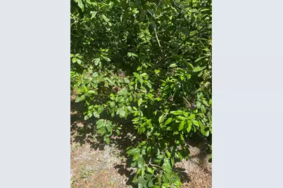 14040 W St Hwy 20, Niceville Fl, 32578, Niceville, FL 32578 - Photo 32