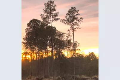 40 Acres Waverly Orchard Circle, Freeport, FL 32439 - Photo 16