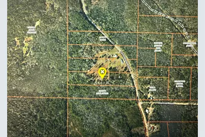 1398 St Marys Road, Caryville, FL 32427 - Photo 2