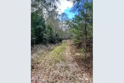 1398 St Marys Road, Caryville, FL 32427 - Photo 6