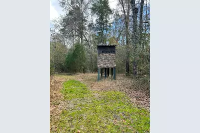 1398 St Marys Road, Caryville, FL 32427 - Photo 4