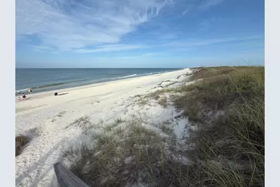 6287 Cape San Blas Road, Cape San Blas, FL 32456 - Photo 4