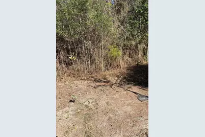 105 Eagle Court, Crestview, FL 32539 - Photo 2