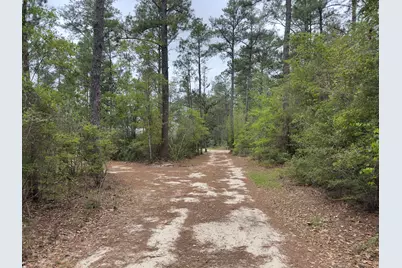 285 J W Hollington Road, Freeport, FL 32439 - Photo 24
