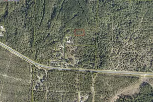 Lot X Gilreath Ln, Ponce de Leon, FL 32455 - Photo 2
