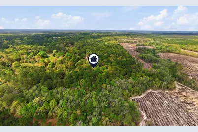 7953 Crawford Road, Laurel Hill, FL 32567 - Photo 10