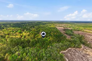 7953 Crawford Rd, Laurel Hill, FL 32567 - Photo 10