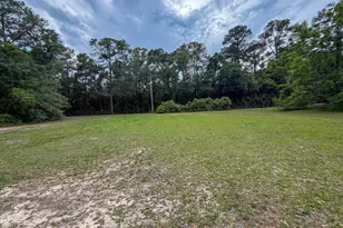 000 Old River Rd, Baker, FL 32531 - Photo 1