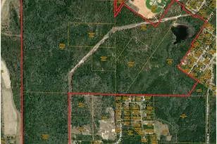 384 Acres Bob Sikes Rd, Defuniak Springs, FL 32433 - Photo 1