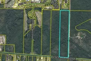 Xxxx E St Hwy 20, Freeport, FL 32439 - Photo 1
