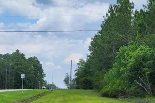 331 331 Business, Freeport, FL 32439 - Photo 1