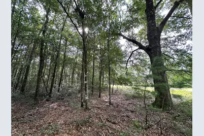 Lot D Pineforest Drive, Crestview, FL 32539 - Photo 1