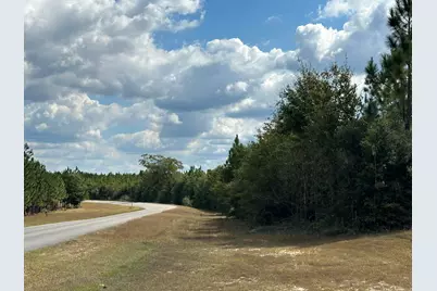 Parcel D&e New Ebenezer Road, Laurel Hill, FL 32567 - Photo 1