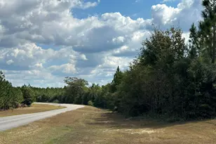 Parcel D&e New Ebenezer Rd, Laurel Hill, FL 32567 - Photo 1