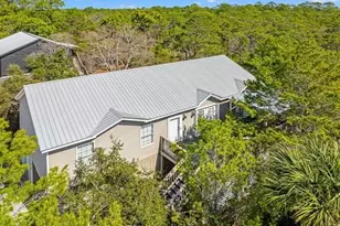 316 Robert Ellis St, Santa Rosa Beach, FL 32459 - Photo 1