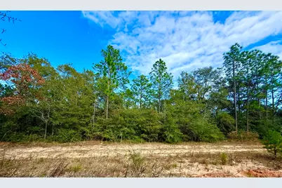 81 Puccini Drive, Defuniak Springs, FL 32433 - Photo 1