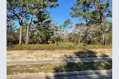 131 Laughing Gull Lane, Carrabelle, FL 32322 - Photo 1