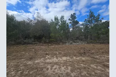Tbd Hampshire Boulevard, Chipley, FL 32428 - Photo 1