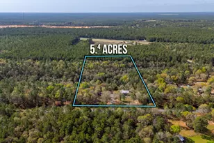 248 Elmwood Rd, Defuniak Springs, FL 32433 - Photo 1