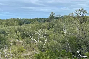 3127 Stewart Rd, Middle Torch Key, FL 33042 - Photo 60