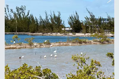 32029 Marginella Drive, Big Pine Key, FL 33043 - Photo 16