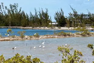 32029 Marginella Dr, Big Pine Key, FL 33043 - Photo 16