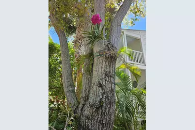 22 Merganser Lane, Key West, FL 33040 - Photo 42