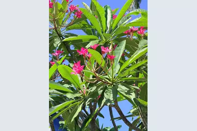 1606 Flagler Avenue, Key West, FL 33040 - Photo 4