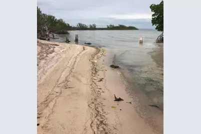 Main Key, Barnes Sound, Key Largo, FL 33037 - Photo 36
