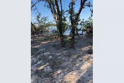 Main Key, Barnes Sound, Key Largo, FL 33037 - Photo 48