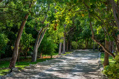 75280 Overseas Highway, Lower Matecumbe, FL 33036 - Photo 4