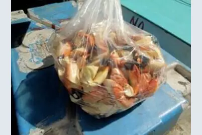 1 Mundy The Pirate Seafood Way #No Real Estate, Key West, FL 33040 - Photo 6