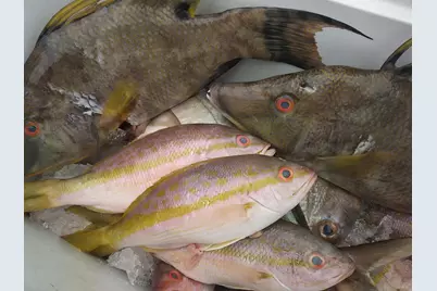 1 Mundy The Pirate Seafood Way #No Real Estate, Key West, FL 33040 - Photo 34