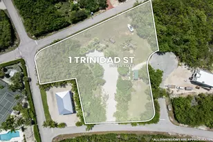 1 Trinidad St, Duck Key, FL 33050 - Photo 1